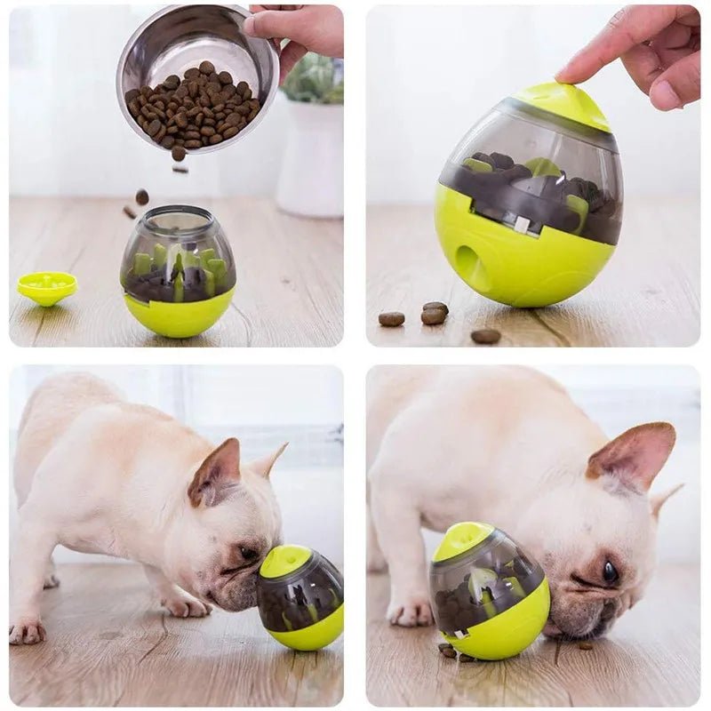 Interactive Cat Toy IQ Treat Ball Smarter Pet Toys Food Ball Food Dispenser For Cats Playing Training Balls Pet Supplies - C La classe des quatre pattes |