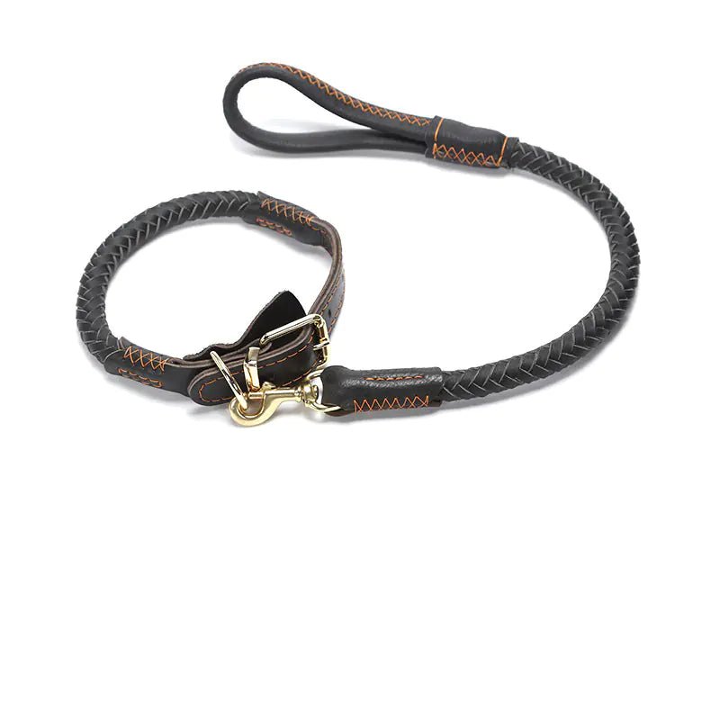 Laisse en cuir pour chien Premium - Résistante et élégante pour chiens moyens et grands - Noir court + collier