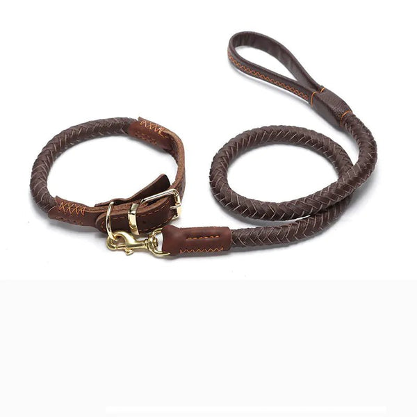 Laisse en cuir pour chien Premium - Résistante et élégante pour chiens moyens et grands - Standard marron avec collier