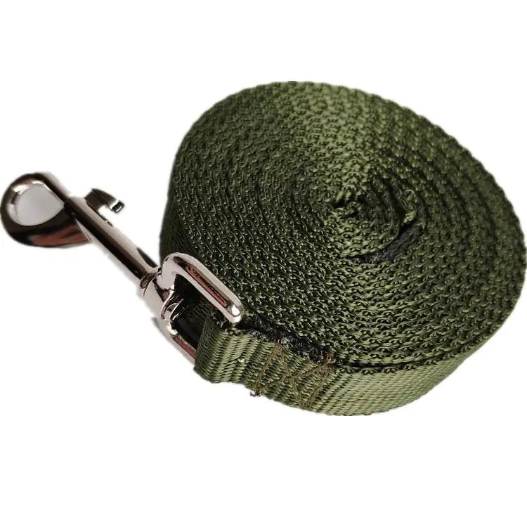 🐾 Longe d’Éducation Canine – 2,5 cm – De 3 m à 50 m L’outil indispensable pour des promenades éducatives sûres et efficaces - Vert La classe des quatre pattes |