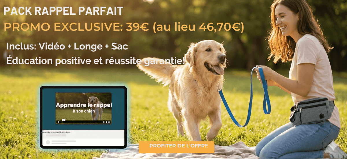 Pack Rappel Premium : Votre Chien revient enfin vers vous (Longe + Sac + Méthode) - La classe des quatre pattes | Vidéo éducative