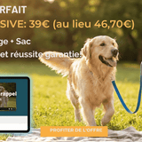 Pack Rappel Premium : Votre Chien revient enfin vers vous (Longe + Sac + Méthode) - La classe des quatre pattes | Vidéo éducative
