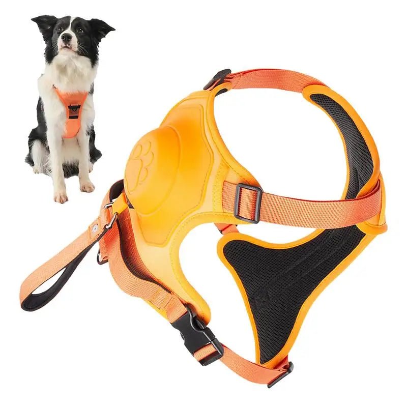 Pack Zen & Obéissance 🐾 – Harnais, Jouet, Tapis + Guide Offert - La classe des quatre pattes |