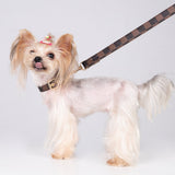 Pet Dog PU Collar and Leash Set - Coffee Plaid Style / L Collar Hand Holding Rope La classe des quatre pattes |