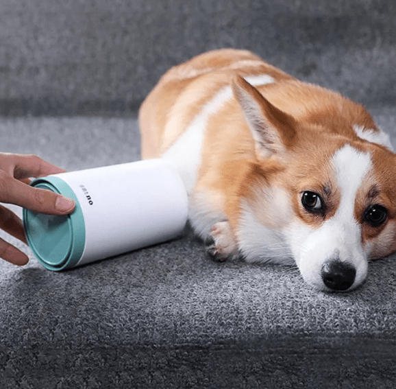 Pet Paw Cleaner - Green La classe des quatre pattes |