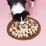 Tapis de Fouille Interactif – 