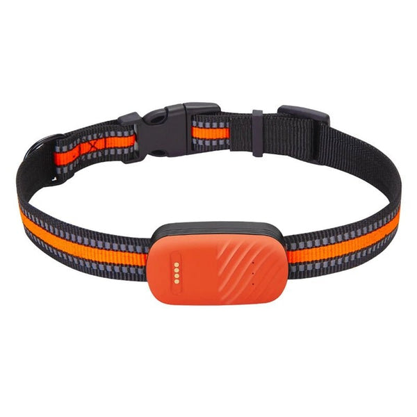 🐶 Traceur GPS 4G pour chien – Sécurité et liberté réunies ! - Orange La classe des quatre pattes |