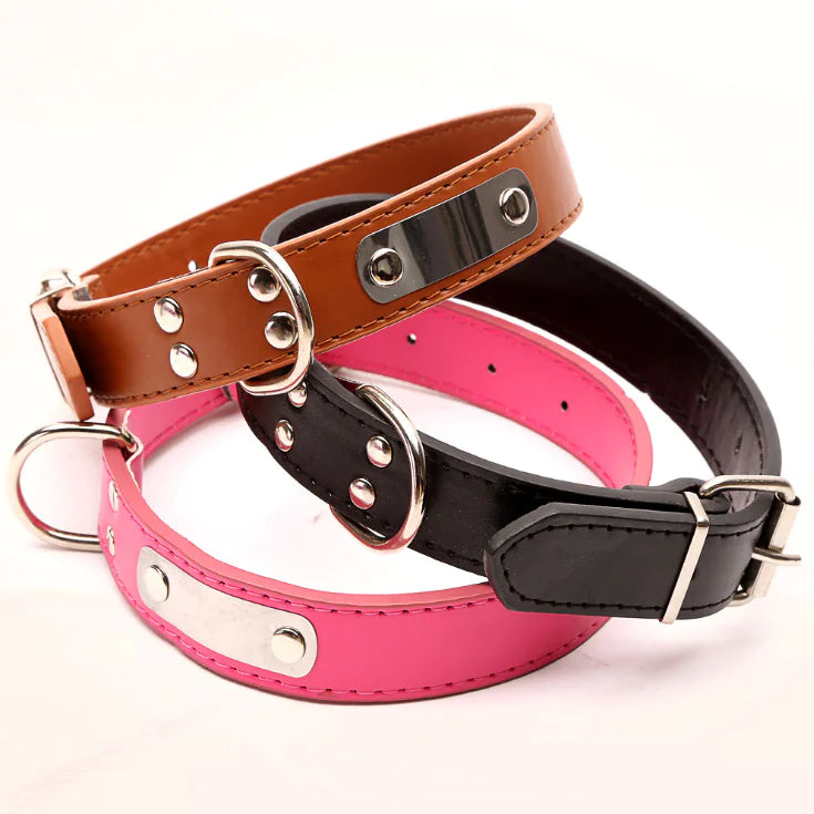 Collier réglable pour chien – Confort, style et solidité